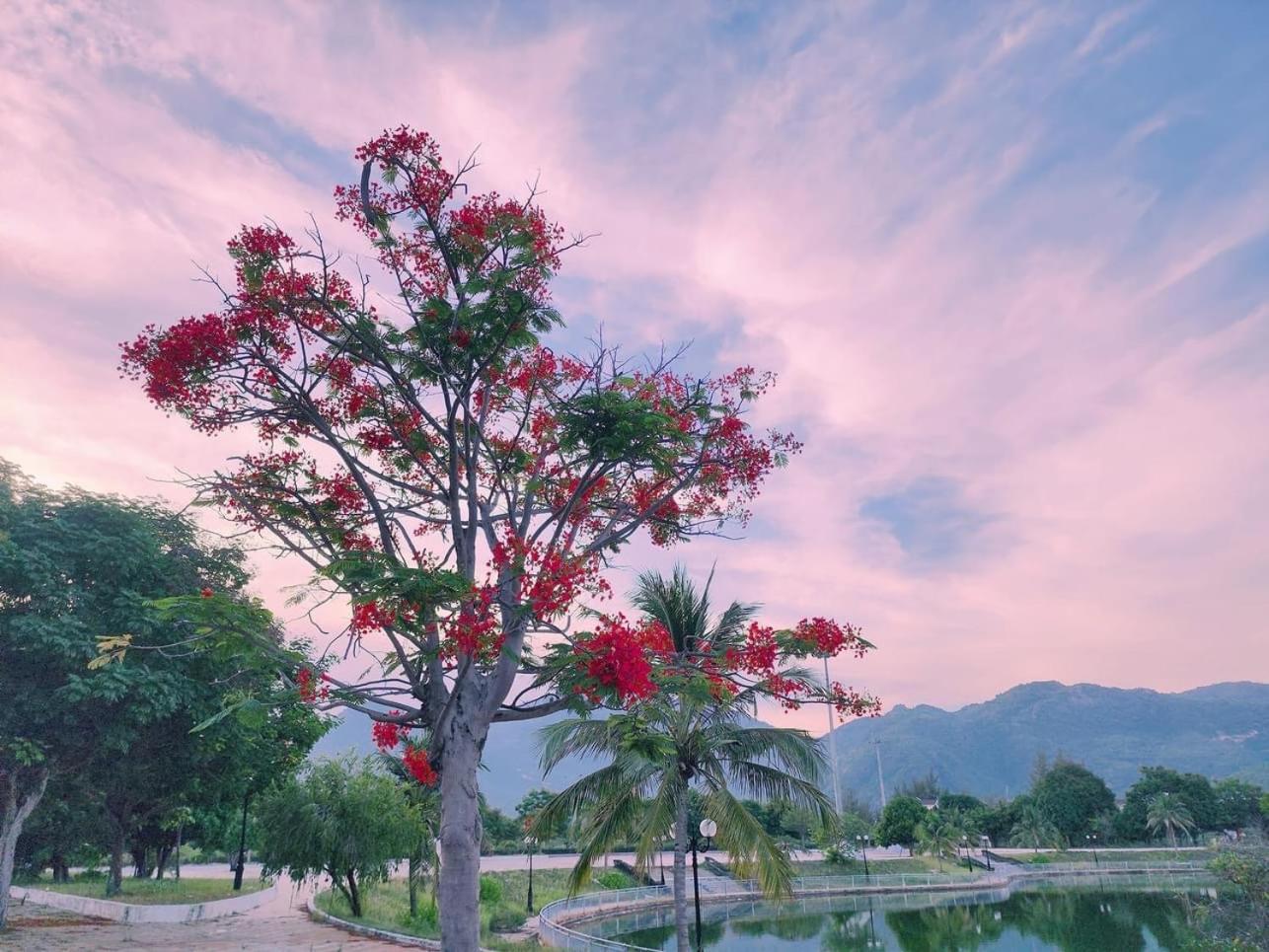 Moc Homestay- Near Bai Dai Beach Cam Lam 외부 사진