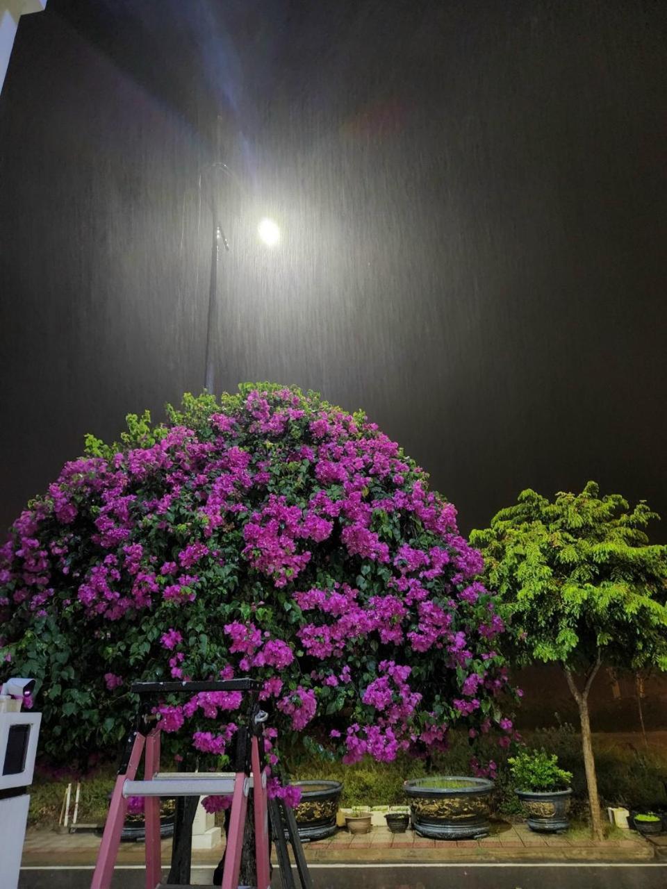 Moc Homestay- Near Bai Dai Beach Cam Lam 외부 사진