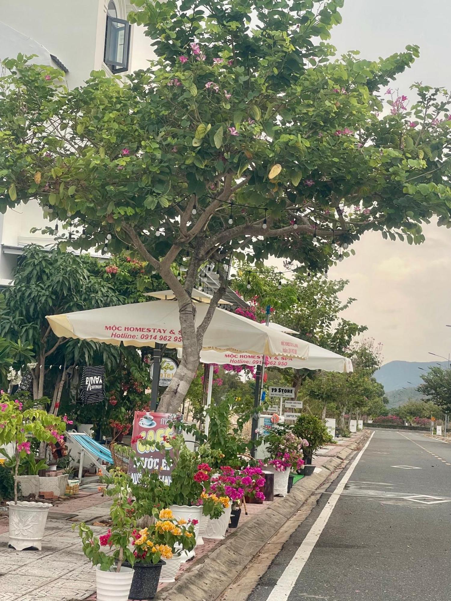Moc Homestay- Near Bai Dai Beach Cam Lam 외부 사진
